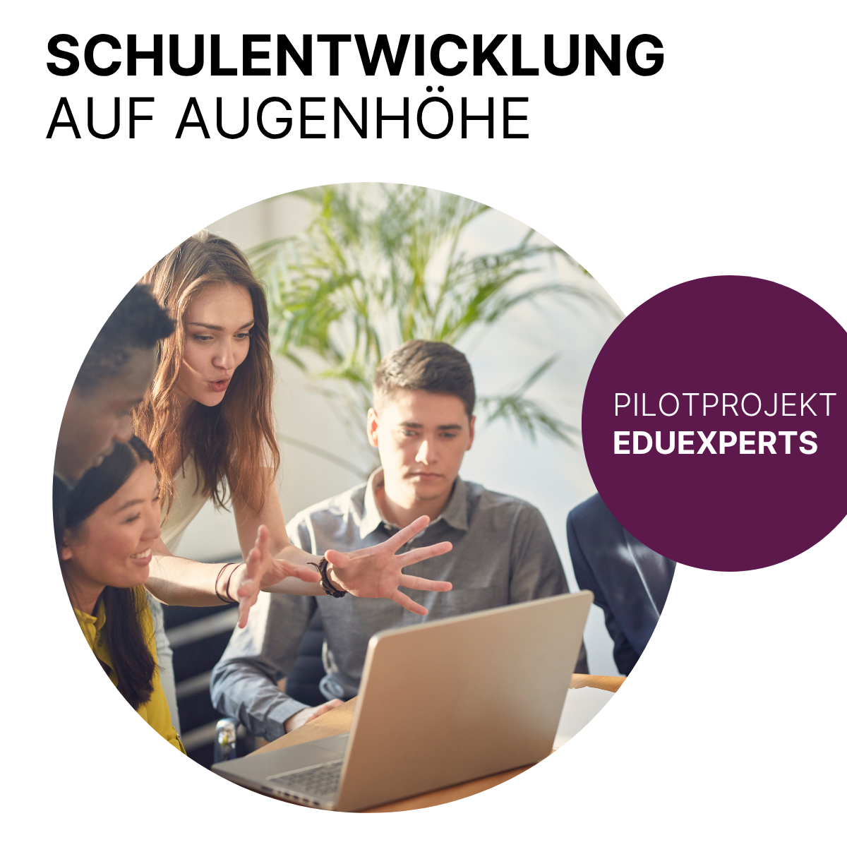 EduExperts: Schulentwicklung auf Augenhöhe